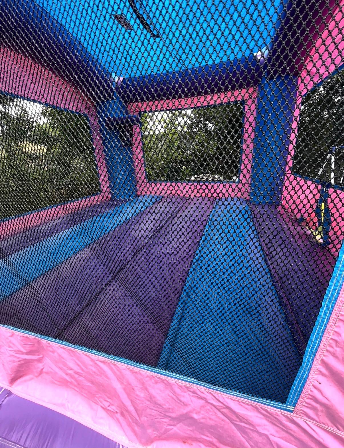 Pink & Purple Bounce House Interior