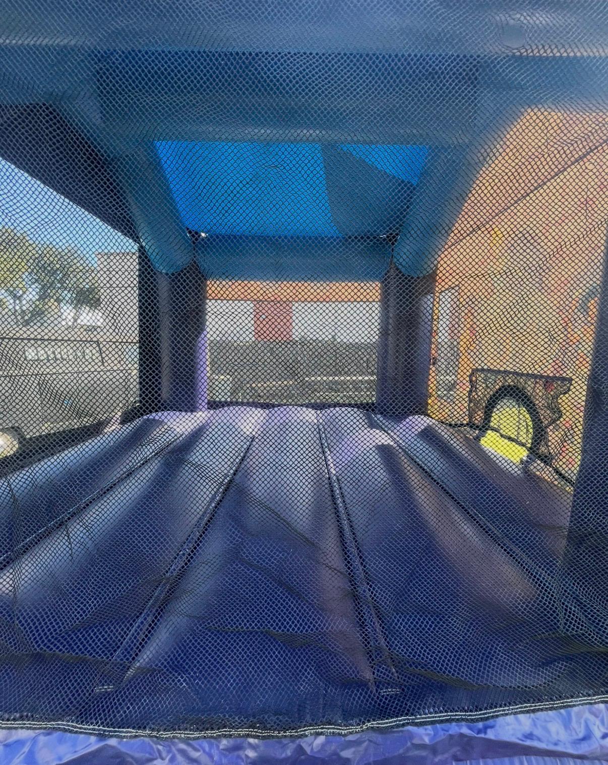 Princess Bounce House Interior
