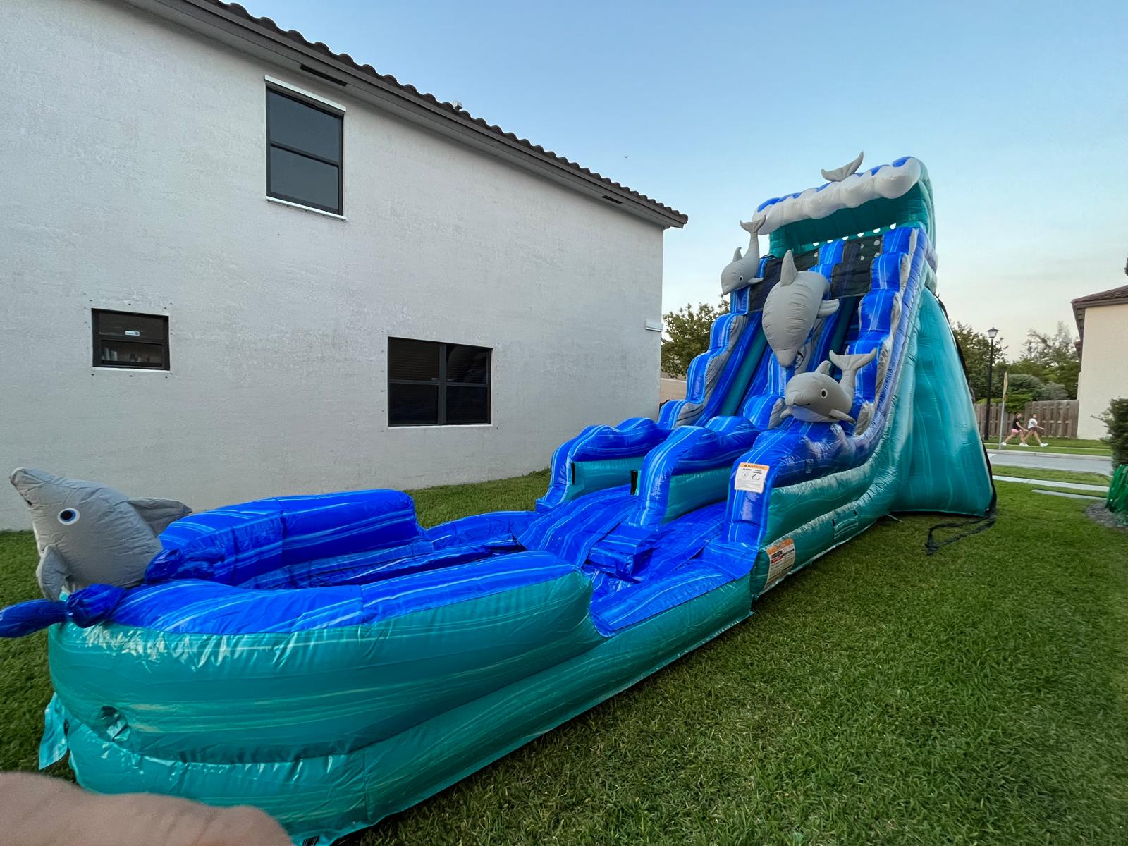 New Dolphin Water Slide