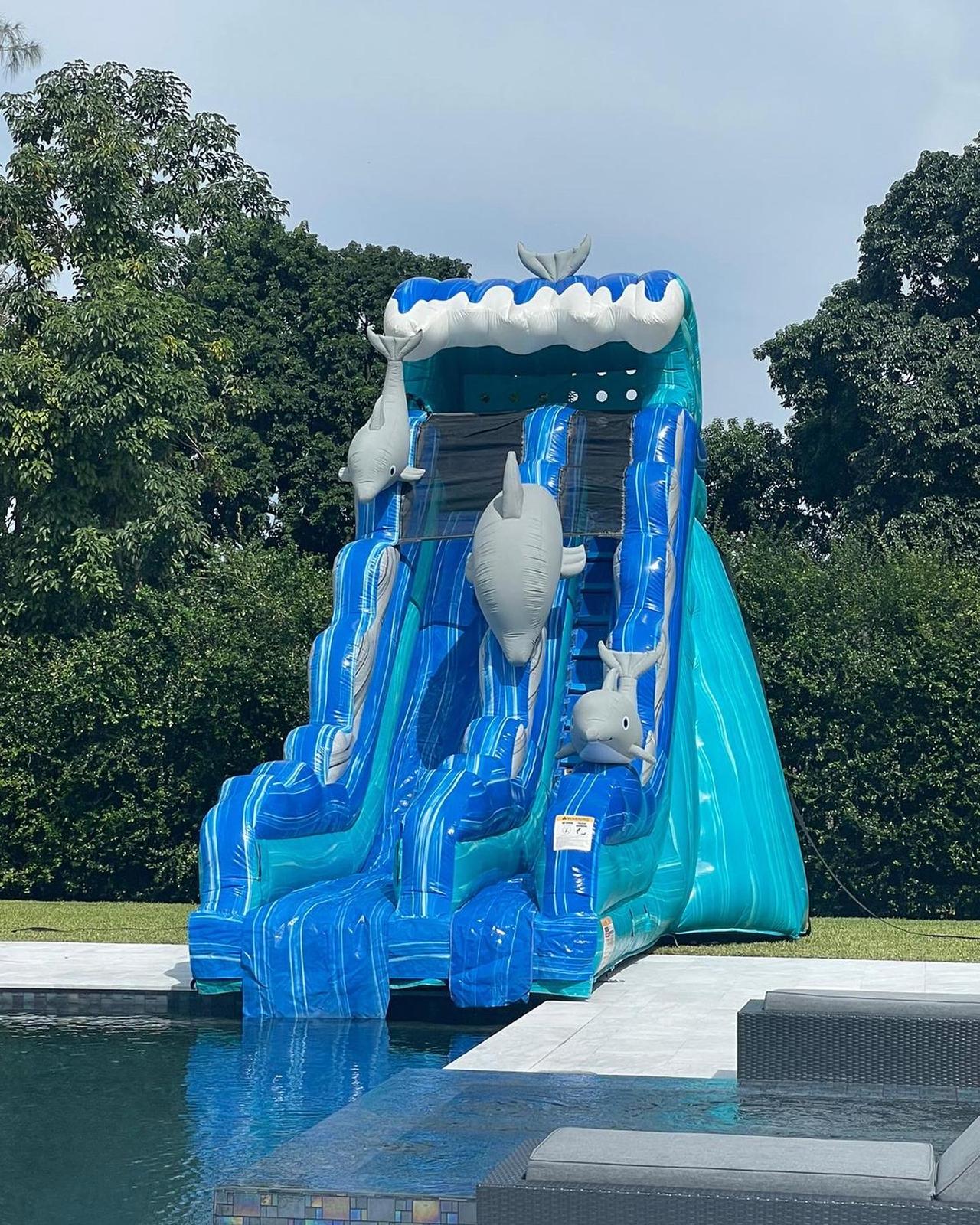 New Dolphin Water Slide Pool